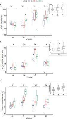 Cultivar-dependent phenotypic and chemotypic responses of drug-type Cannabis sativa L. to polyploidization